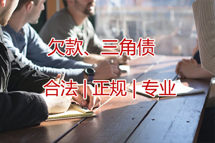 法定代表人及股东个人借款的偿还责任问题